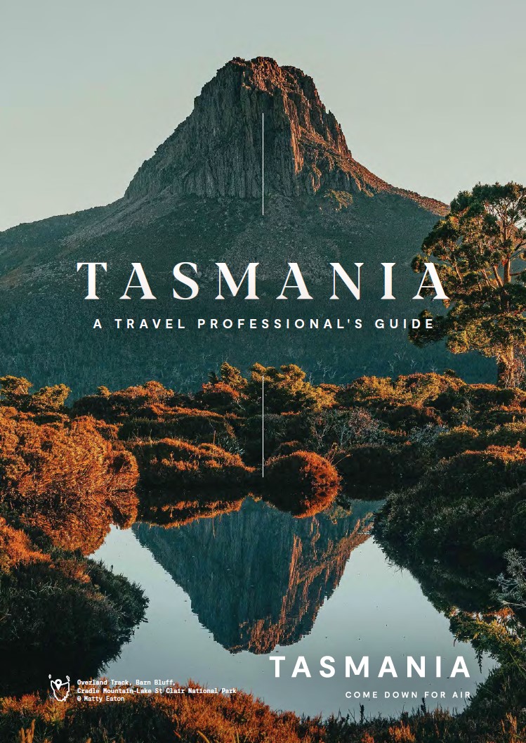 Cover image of A Travel Professional's Guide, with mountains reflected in a still lake.